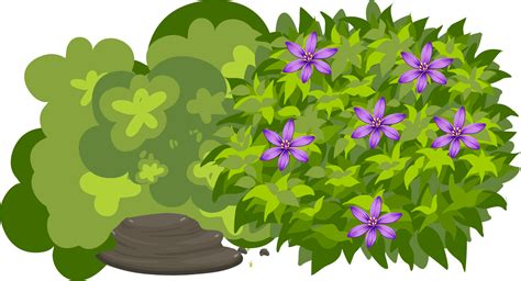 Cartoon Jungle Bushes : Bush Clipart Jungle Clip Shrub Cartoon Illustration Background Cliparts ...