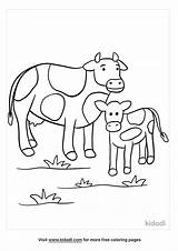 Cow And Calf Coloring Pages sketch template