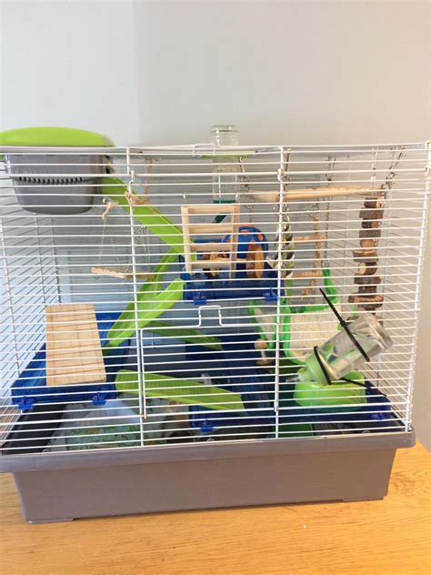 New mice cage setup, tips/ suggestions appreciated! : r/PetMice