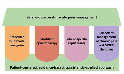 Healthcare | Free Full-Text | Acute Pain Management Pearls: A Focused ...