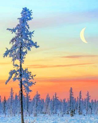 Winter Scenery NEW Paint By Numbers - Numeral Paint Kit