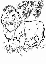 30 Disegni Di Leoni Da Colorare  PianetaBambiniit Lion coloring sketch template