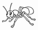 Ant Coloring Cartoon Colouring Pages Ants Kids Clipart Draw Drawing  sketch template