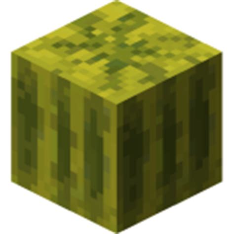 Image - Melon (Block).png | Minecraft Wiki | FANDOM powered by Wikia