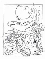 Aquarium Coloring Pages For Kids At GetColoringscom  Free Printable sketch template