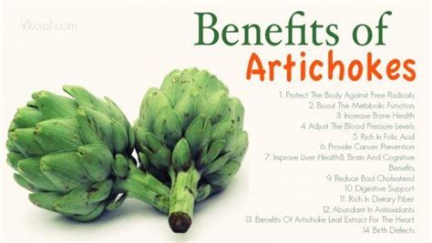 Nutritional Benefits Of Artichoke Hearts - Nutrition Pics