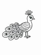 Peacock coloring Page sketch template
