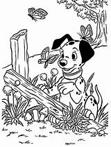 Kids N Funcom  Coloring Page 101 Dalmatians sketch template