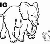 Opposites Coloring Pages At GetDrawings  Free Download sketch template