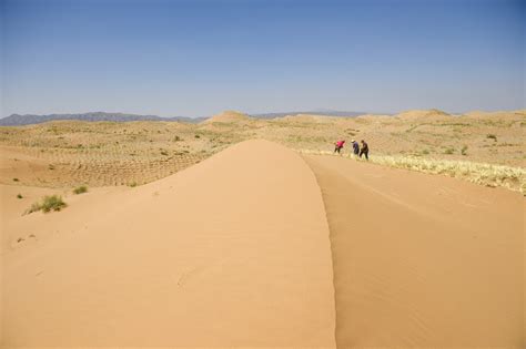 Eco China: Ningxia, first in China to make headway in reversing desertification - Xinhua ...