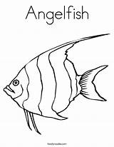 Angelfish Coloring Page  Twisty Noodle sketch template