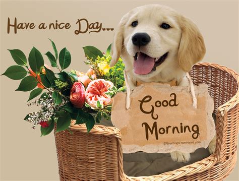 Good Morning With Dog - Good Morning Wishes & Images