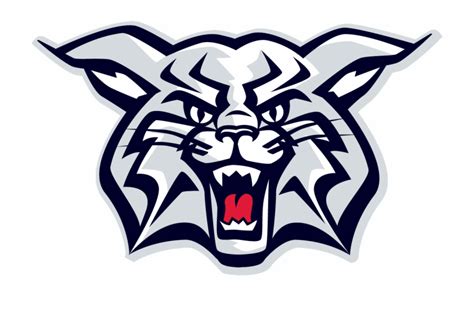 Arizona Wildcats Logo Vector at Vectorified.com | Collection of Arizona ...