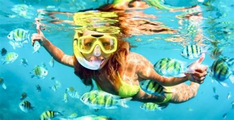 6 Best Oahu Snorkel Tours In 2023