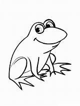 Cartoon Frog coloring Page  Download Print Or Color Online For Free sketch template