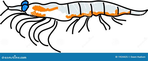 Krill stock illustration. Illustration of cartoon, isolated - 1924425