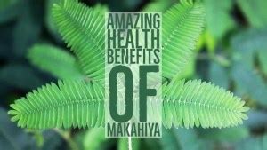 18 Amazing Health Benefits Of Makabuhay | pangbenta.com