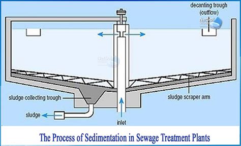 What is sedimentation process in Sewage Treatment Plants