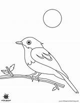 Printable Bird Colouring Pages For Your Child sketch template