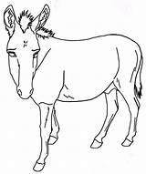 Donkey Coloring Pages Free Printable PDF sketch template