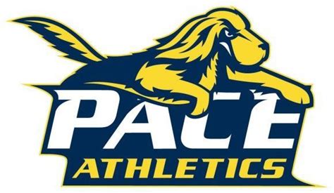 Pace University, University Logo, College Logo, Ncaa College, Mascot ...