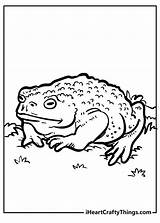 Toad Coloring Pages 100% Free Printables sketch template
