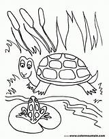 Pond Coloring Pages Preschool sketch template