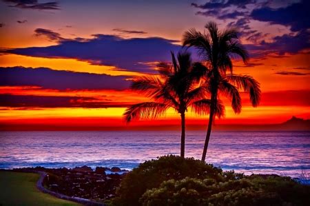 Hawaii Sunset Wallpaper