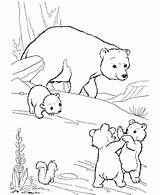 Free Printable Bear Coloring Pages For Kids sketch template