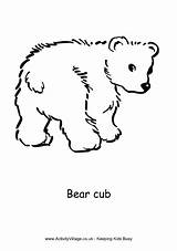 Photos  Bild Galeria COLORING PAGE BEAR CUB sketch template