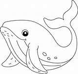 Humpback Whale Coloring Page Isolated For Kids 7066661 Vector Art At  sketch template