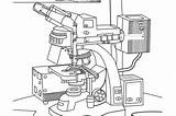 Learn About microscopes sketch template