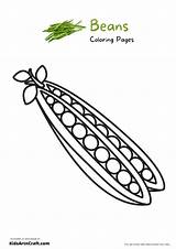 Green Beans Coloring Page Free Az Pages Sketch sketch template
