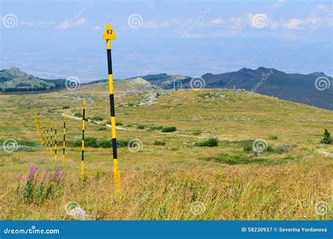 Vitosha mountain stock image. Image of habitat, wooden - 58230937