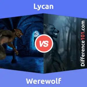 Werewolf vs. Lycan: 10 Key Differences, Description, Types | Difference 101