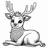Reindeer Coloring Page · Creative Fabrica sketch template