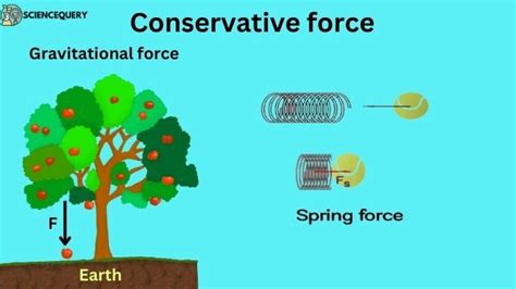 What is the Conservative force? - Science Query