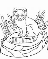 Panda Coloring Sheet Page Printable sketch template
