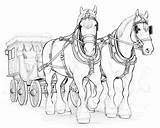 Clydesdale Horse Coloring Pages sketch template