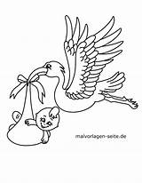 Malvorlage Storch  Vögel Ausmalbild Kostenlos Herunterladen sketch template