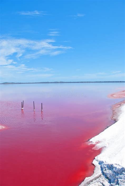 Pink Lake, Western Australia Stock Photo - Image of holiday, reflection: 26683668