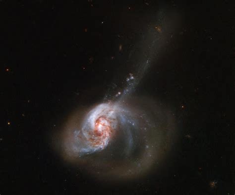 Ngc 2608 Galaxy : NGC 2608 - Wikipedia