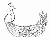 Free Printable Peacock Coloring Pages For Kids sketch template