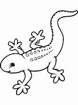 Cute Gecko coloring Page sketch template