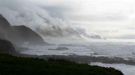 #BobCreekWayside located on the #Oregon #coast. | Coastal fog, Oregon coast, Places to go