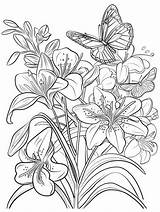 Black And White Coloring Page With Flowers Butterflies Stock  sketch template