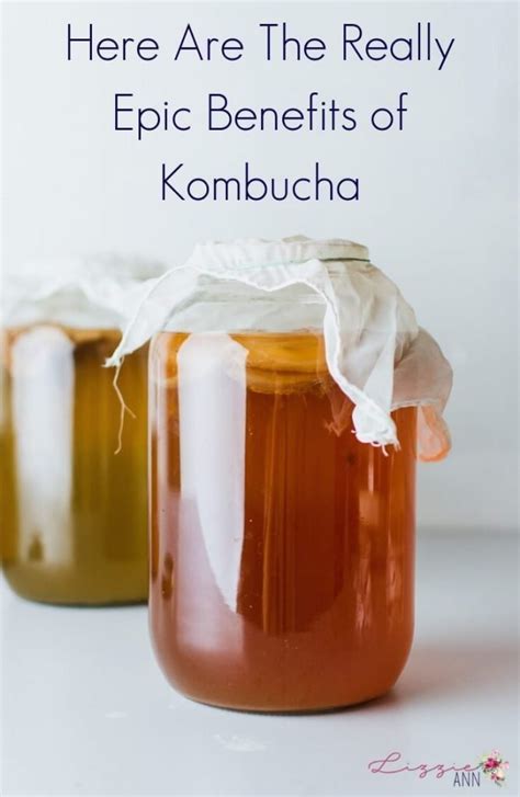 Here Are The Really Epic Benefits of Kombucha - Natural Lifestyle Blog ...