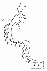Millipede Coloring Pages sketch template