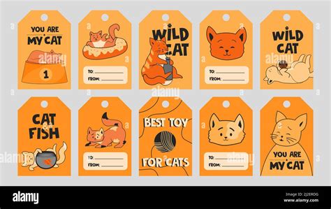 Orange special tag designs with cute kittens. Happy funny cats playing ...
