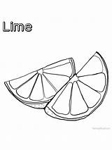lime Coloring Free Image Lime Is A Part Of Orange Family Tree  sketch template